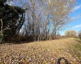 Eladó telek/földterület Dömsöd 4 400 000 Ft