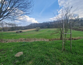 Eladó telek/földterület Szenna 10 000 000 Ft