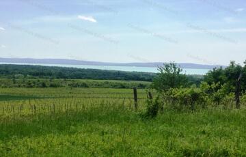 Eladó telek/földterület