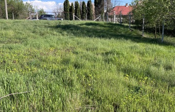 Eladó telek/földterület