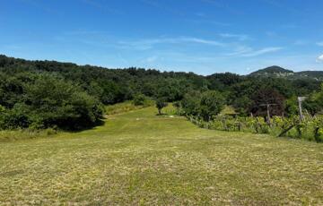 Eladó telek/földterület