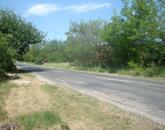 Eladó 2500 nm-es zártkert Szomód külterületi részén!