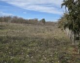 Eladó telek/földterület Dabas 12 000 000 Ft