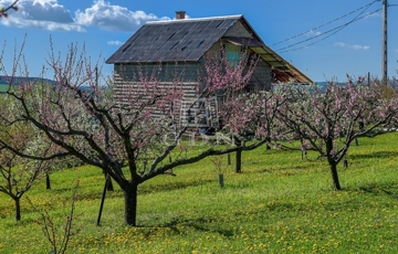Eladó telek/földterület