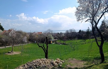 Eladó telek/földterület