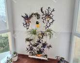 Eladó lakás Bábolna 43 900 000 Ft