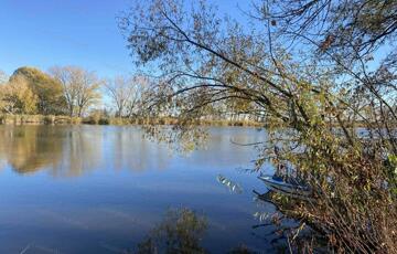 Eladó üdülő/nyaraló