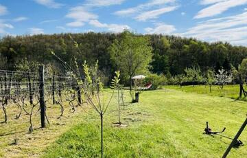 Eladó telek/földterület