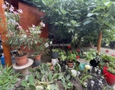 Eladó lakás Göd 71 900 000 Ft