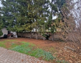 Eladó családi ház Boldog 60 000 000 Ft