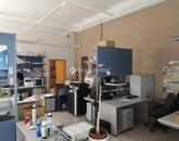 Kiadó iroda/üzlethelyiség Zalaegerszeg 318 000 Ft