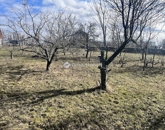 Eladó üdülő/nyaraló Romonya 6 900 000 Ft