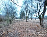 Eladó telek/földterület Makó 1 000 000 Ft