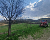 Eladó telek/földterület Szenna 10 000 000 Ft