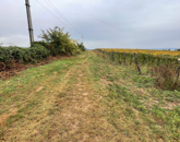 Eladó telek/földterület Zánka 21 200 000 Ft