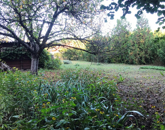 Eladó telek/földterület Dunaharaszti 49 990 000 Ft