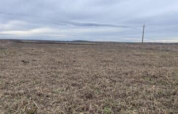 Eladó telek/földterület