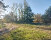 Eladó telek/földterület Bölcske 2 700 000 Ft