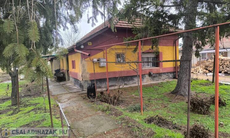 Tiszaföldvári 60 m2-es családi ház eladó!                                 