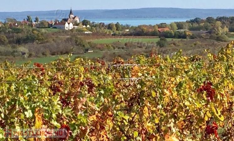 ,Balaton panorámája,természet közelsége,