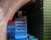 Eladó ipari ingatlan Solymár 330 000 000 Ft