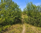 Eladó telek/földterület Kincsesbánya 49 000 000 Ft