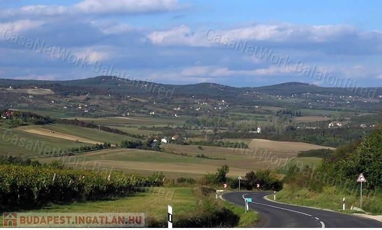 pince+présház építésére alkalmas                                 