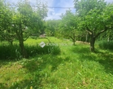 Eladó családi ház Zalaegerszeg 110 000 000 Ft