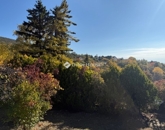 Eladó családi ház Pécs 99 900 000 Ft