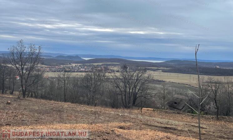 Balatonszőlősön panorámás telek eladó                                 