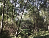 Eladó telek/földterület Bagod 12 490 000 Ft