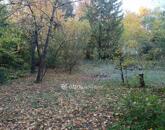 Eladó telek/földterület Solymár 69 900 000 Ft