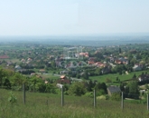 Eladó telek/földterület Cserszegtomaj 50 000 000 Ft