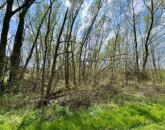 Eladó telek/földterület Nagykanizsa 6 990 000 Ft