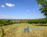 Eladó telek/földterület Telki 490 000 000 Ft