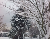 Eladó családi ház Cserkút 59 900 000 Ft