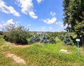 Eladó telek/földterület Rigyác 4 990 000 Ft