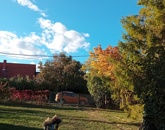 Eladó telek/földterület Pomáz 55 000 000 Ft