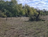 Eladó telek/földterület Kerekegyháza 2 800 000 Ft