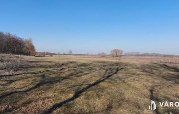 Eladó ipari ingatlan