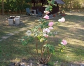 Eladó családi ház Újlengyel 179 000 000 Ft