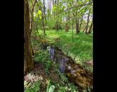 Eladó telek/földterület Nagykanizsa 3 950 000 Ft