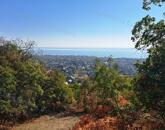 Erdőben, panorámás- eladó MEZŐGAZDASÁGI TERÜLET BALATONFÜREDEN