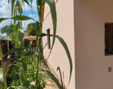 Eladó családi ház Pilis 16 000 000 Ft