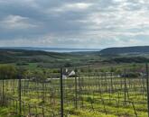 Óbudaváron ÖRÖK PANORÁMÁS zártkert eladó! 5107nm!