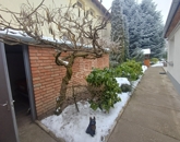 Eladó családi ház Baja 55 000 000 Ft