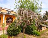 Csend és zöld környezet-parkosított családi áz