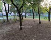 Eladó lakás Budapest XI. ker 82 900 000 Ft