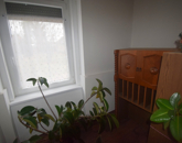 Eladó lakás Sopronhorpács 49 900 000 Ft