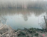 Eladó telek/földterület Tiszapüspöki 9 500 000 Ft